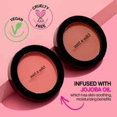 Color Icon Blush | Pinch Me Pink